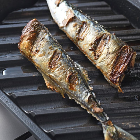 炭グリル 大人の魚焼きグリル|AUX オークス